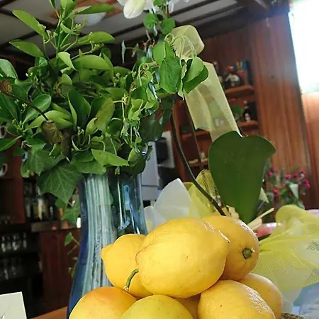 Signorini Hotel *