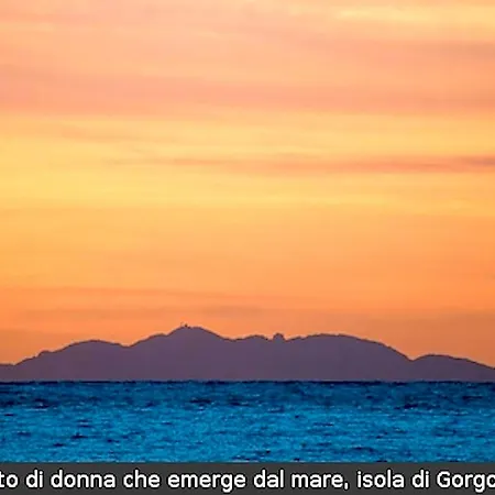 Hotel Signorini