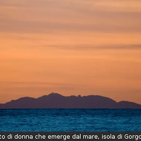 Ξενοδοχείο Signorini