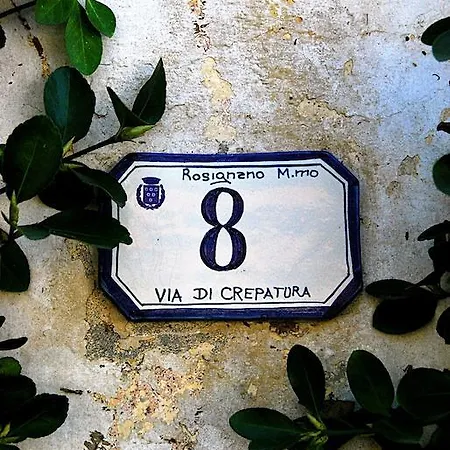 Signorini