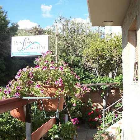 Signorini カスティリョンチェッロ